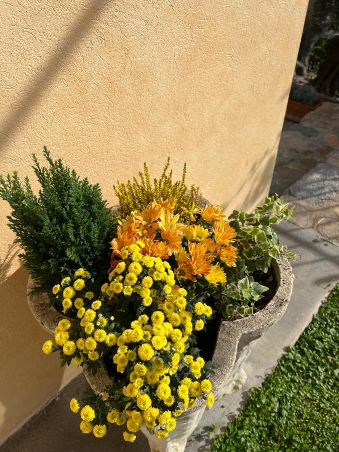 Agriturismo Le Merline Arnasco Eksteriør bilde